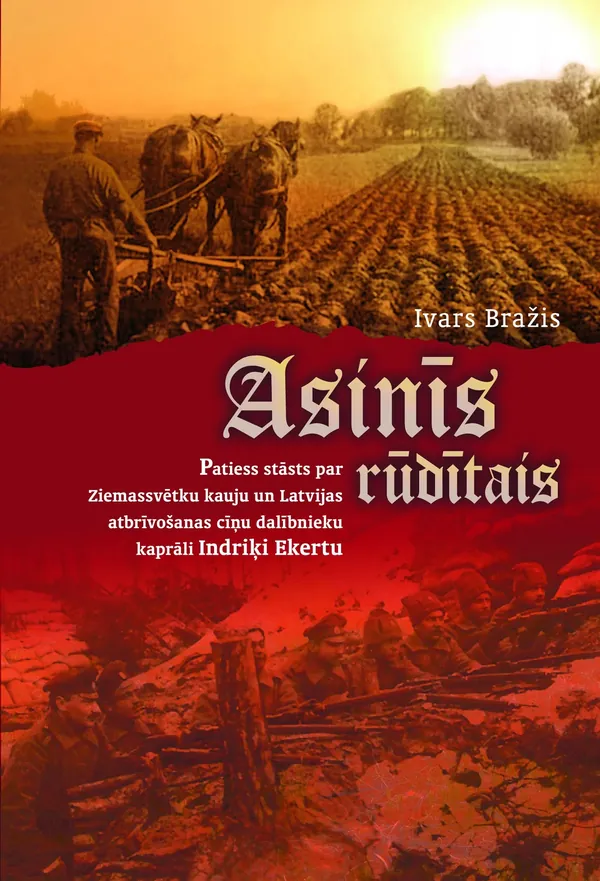 Asinīs rūdītais