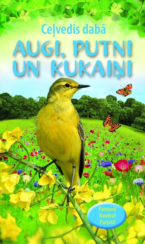 Augi, putni un kukaiņi
