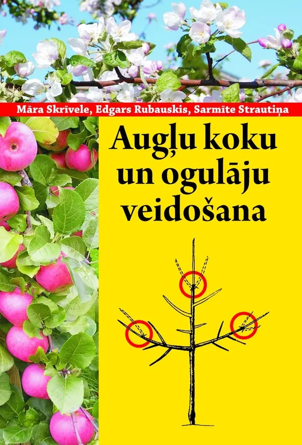 Augļu koku un ogulāju veidošana