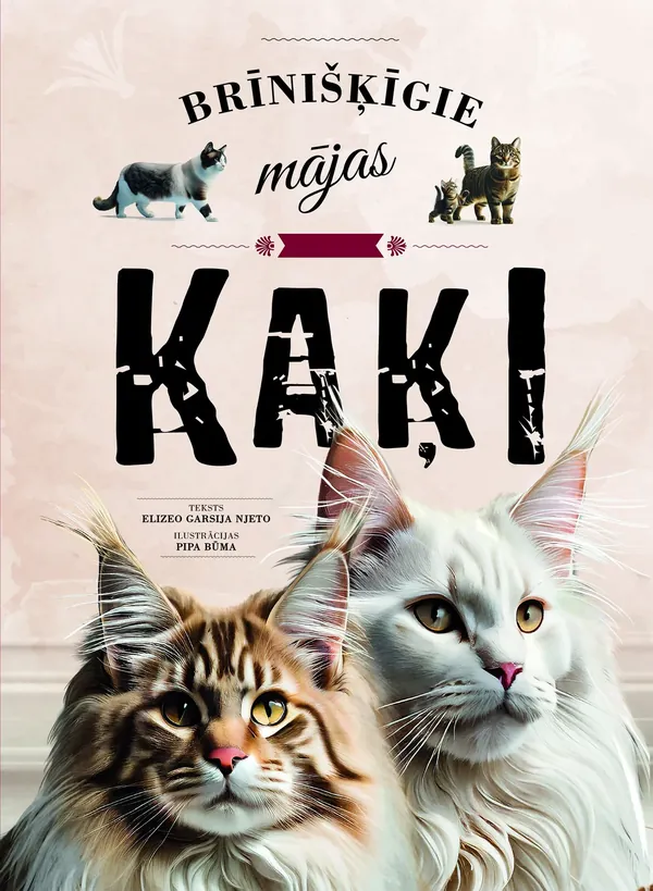 Brīnišķīgie mājas Kaķi