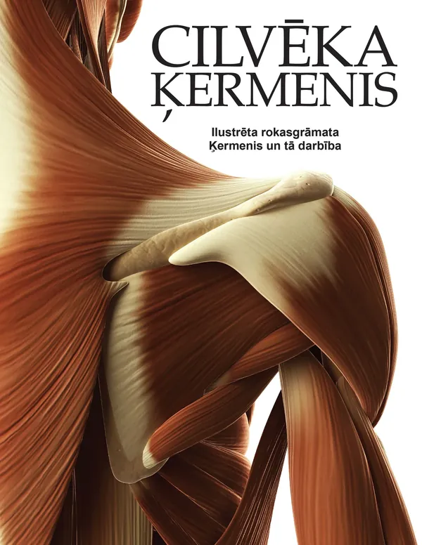 Cilvēka ķermenis. Ilustrēta rokasgrāmata. Ķermenis un tā darbība