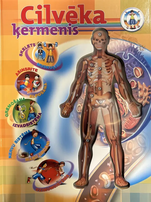 Cilvēka ķermenis