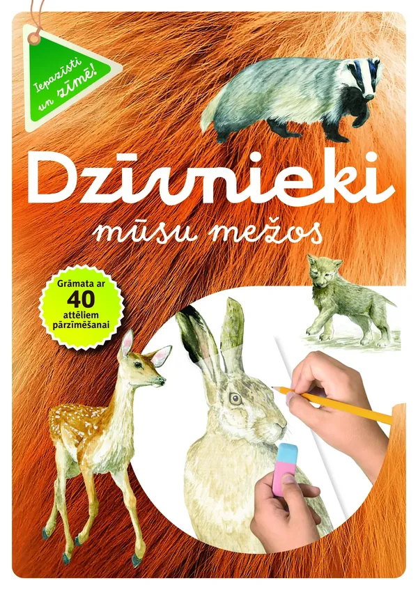 Dzīvnieki mūsu mežos. Grāmata ar 40 attēliem pārzīmēšanai