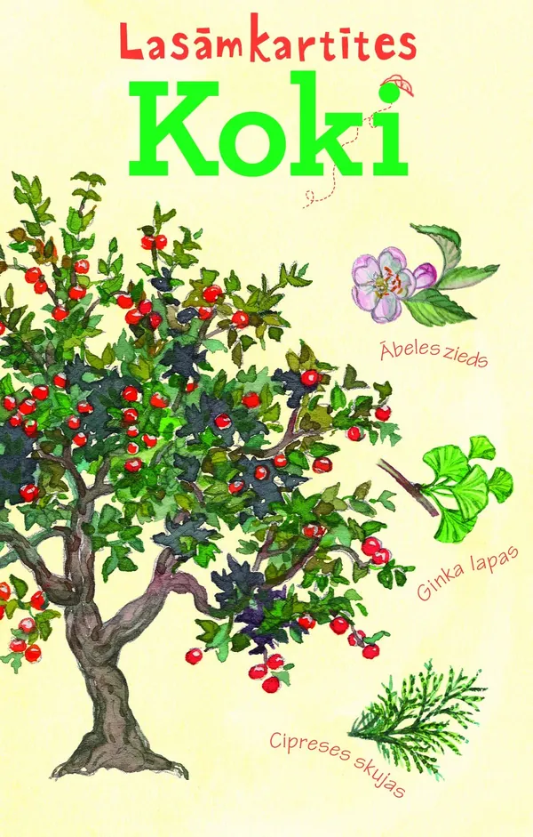 Koki. Lasāmkartītes