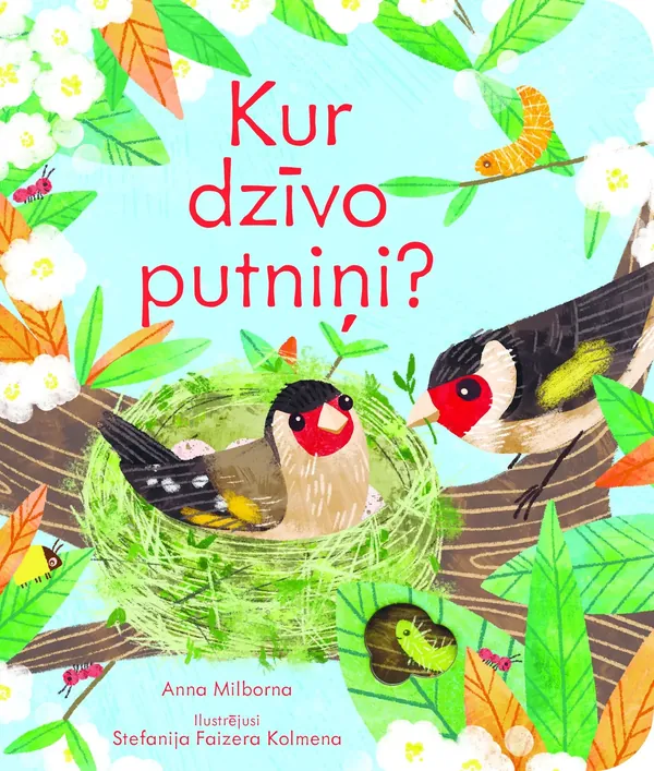 Kur dzīvo putniņi? Grāmata ar lodziņiem