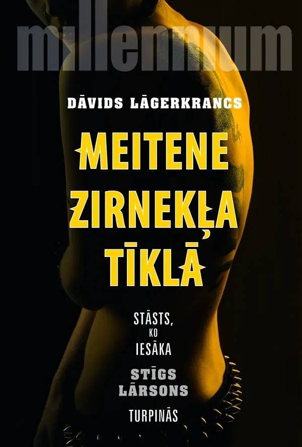 Meitene zirnekļa tīklā, 4