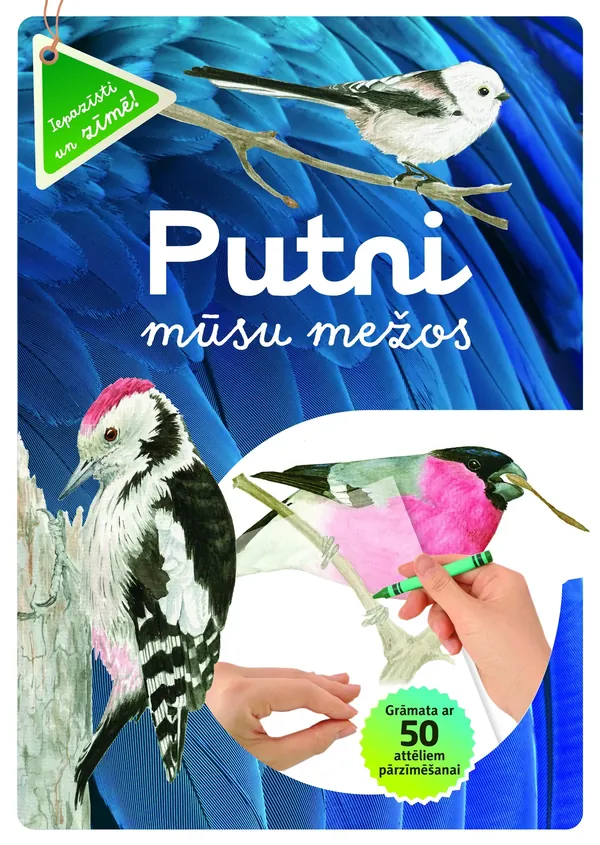 Putni mūsu mežos. Grāmata ar 50 attēliem pārzīmēšanai