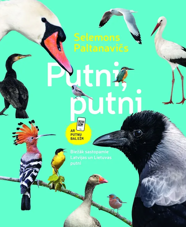 Putni, putni. Biežāk sastopamie Latvijas un Lietuvas putni