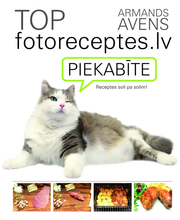 TOP fotoreceptes.lv. Piekabīte