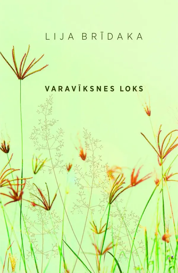 Varavīksnes loks