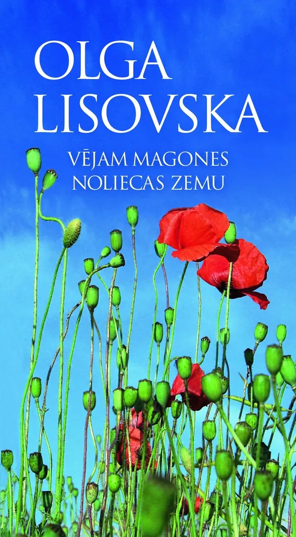 Vējam magones noliecas zemu
