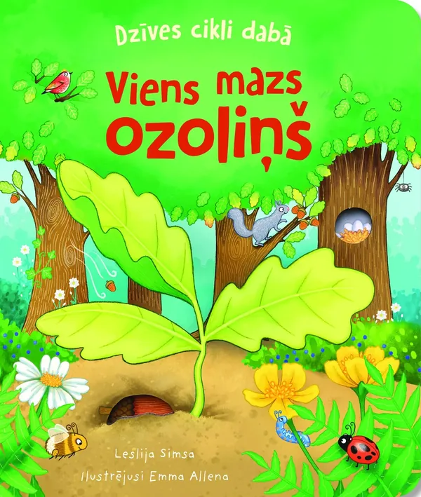 Viens mazs ozoliņš. Dzīves cikli dabā
