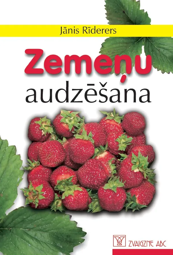 Zemeņu audzēšana