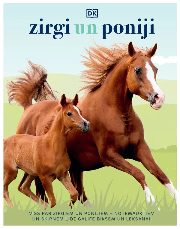 Zirgi un poniji